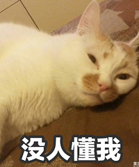悄悄地问,有跟我一样不穿内衣的集美吗?