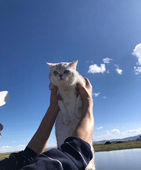 �Ҽҵ�С�ֶճ����ˣ�������ȥ�Լ���Ҳ�����ܣ�������Ŷ