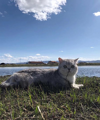 �Ҽҵ�С�ֶճ����ˣ�������ȥ�Լ���Ҳ�����ܣ�������Ŷ