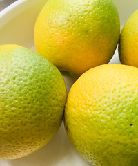 ���ֻ��ϵġ��Ű�ũ�����ֹ������һ����ĳ�