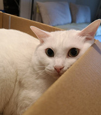 ֻҪ�Ÿ�ֽ�䣬���ܡ�������èŶ�������㿴�ҼҾ�����ֻ