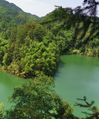 主城周边小众风景好的地方,有碧绿可以划船的湖,还能捡松果