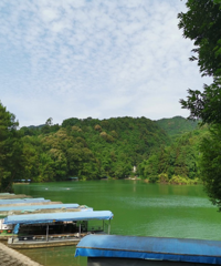 主城周边小众风景好的地方,有碧绿可以划船的湖,还能捡松果