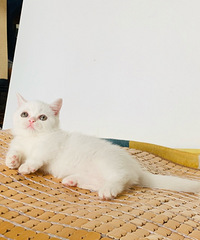 �̲�סɹһɹ�Ҽҵ�������Ӣ�̣�����Ȼ�̵��Ǻ�ϲ��վ��Ŷ