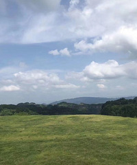 ҵһĩеĺõطժݮտð