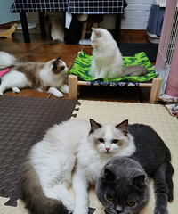 ���������Ҹ����ճ�����ߣè�ˣ�ϲ��ÿ�챻���ǰ�Χ