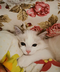 ���������Ҹ����ճ�����ߣè�ˣ�ϲ��ÿ�챻���ǰ�Χ