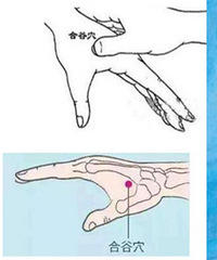 ��ϲ���İ��ĵ���ͼ��18�����ĵ���ЧѨλ