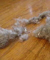 Ƿûãͷûдɨͻֺܶࡰëë