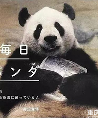 �����è��顢Ϊ����è�������û����Ⲩ������Ȼ���ձ�