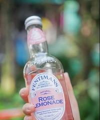 ����ֻ��Ԫ��ɭ��������Щ��������������֮���˽�һ��