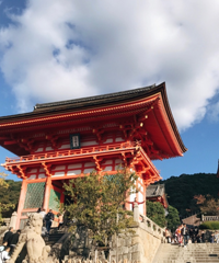 人均6200的日本6天自由行,在东京、京都和大阪的吃逛买