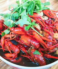 ϲ����С��Ϻ�Ŀ���ȥ�������ҹ�������ŵ�