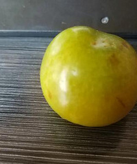 �����ҳ��������������а�ɫ�ĳ棬�������ǲ�����