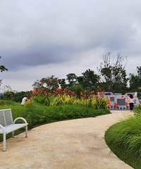 �������л��峵��ȥ��������������ݹ�԰�����У�����Ҳ�ÿ�