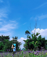 ̳ȥĵطٻ࣬ͲҪ̫2020