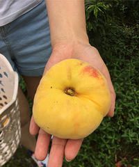 ժңժ߳ԺˬܿɻԳóԵڰ