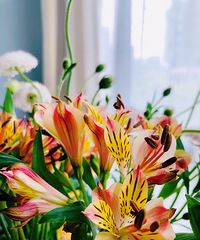 �ӽ��괺�쿪ʼ�����ʻ����ʹ�ҷ�������Ļ������Լ��������