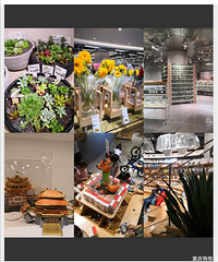 不用去花市,这家店比花市还便宜