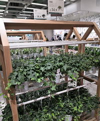 不用去花市,这家店比花市还便宜