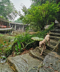 1Сʱ�͵������ж���ĶȼپƵ꣬�������죬�ʺ����ӳ���