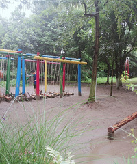 �����������ߣè�������򻨵����صĽ��䣬��һ��Ҫ������