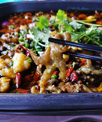 �ٳ������������գ����������ഺ�Ļ���