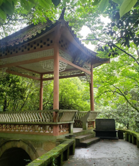 һ����ɽ���������컹��ժ������ӣ�ɽȪ���������ϳ��ó�