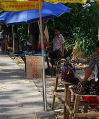 �ڵ�̯����ˮ�������������š���ϣ�������߾���