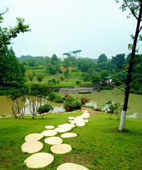 ��ɽƺ��Ȼ������ô���ĵط����ͻ��κ����ܰ����ͣ�ũ�Ҳ˳��ɿ�