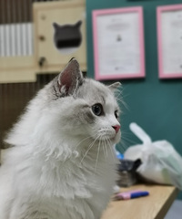 ɽè�Ʋ�ż��ĺù�Ŷ���Լ��ġ����ӡ���ô����˧