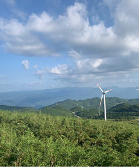 ���������һƬ�糵�أ��������̻����죬ũ�Ҳ˳���