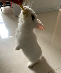 ����̫æûʱ��������5���´�ķ���٪���õܵ�������