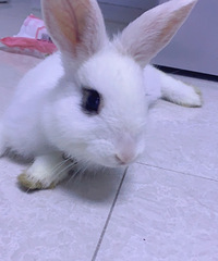 ����̫æûʱ��������5���´�ķ���٪���õܵ�������