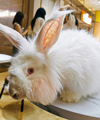 ��Ҿ��ùݿ�������rua����Ŷ������������Ҳ������Ƭ