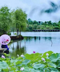 2020�°��꣬�����������������ʱ��������պ�