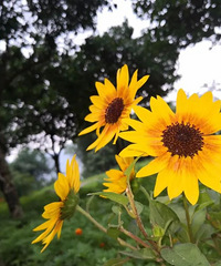 ���������տ�����ѹ����ڣ�������Щ�ط��Ľ�ɫ����������