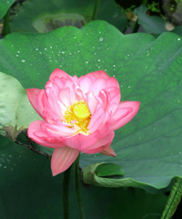 ��Ҫ��Ʊ�ĺɻ��ڣ��߲������������������Ǹо���