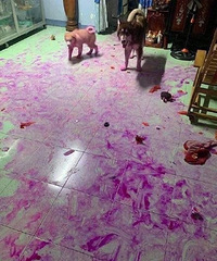 ǧ����ּ������Ի�����������һ��С�ľͱ���ˡ���������