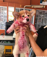 ǧ����ּ������Ի�����������һ��С�ľͱ���ˡ���������