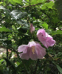 �ھӼ��ֵ�ľ�ȿ��ˣ������𴲿�����һĻ���ҵ�����Ҳ����