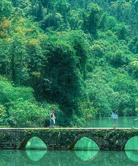 �����ܱ��������ʤ�أ�7��31��ǰ����A����������Ʊ