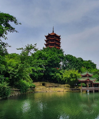 轻轨直达又凉快的公园,有美术馆、儿童乐园、荷塘,居然没什么人