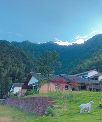 四面山居然这么好耍,水上公路耍水,小火车里唱K,住山景民宿