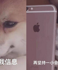 相亲1个月遇见了心仪妹子,可她表示我不是她喜欢的类型,追吗?