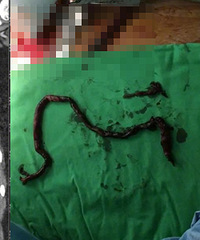 ����2��ͻ������������ͣ������һ��