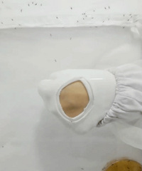 ������+����ʵ�⣬����30���������17�����ò�Ʒ