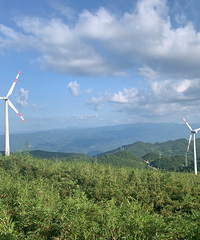 ԭƬ���������������أ������͵�ũ���֣�������һ����������