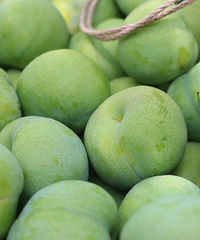 �ļ��޶�ˮ����ɽ������ѳ�����������������