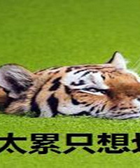 û���һ����˵�ˮ��������һ���ȴ�װ����ʼ